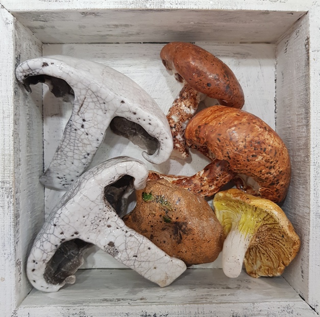 'The Pantry Collection: Mixed Fungi' by artist Diana Tonnison